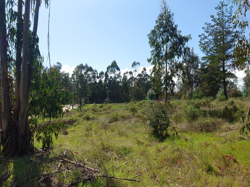 Espectacular Ubicación, Terreno Uso Comercial