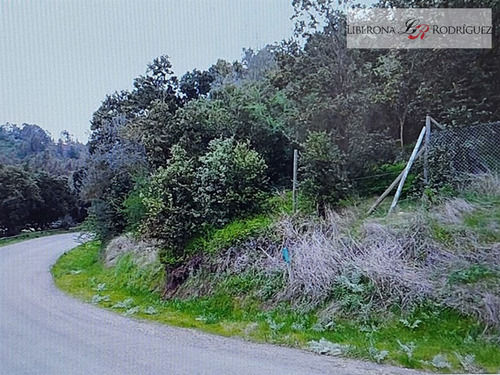 Sitio En Venta En Las Gaviotas, Concón