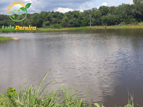 Imagem 2 de 15 de Fazenda À Venda Em Fátima - To-excelente P/ Lavoura, Plantio De Até 800 Hec - 1617