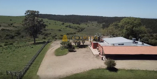 Estancia De 38 Has Con Salon De Fiestas, Cuenta Con Suelo Óptimo Para Plantación De Olivos Y Vid. Consulte!!!!!!!!-ref:2417