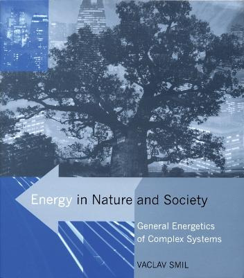 Libro Energy In Nature And Society - Vaclav Smil