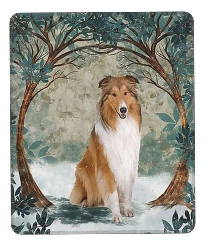 Once Upon Time There Wa Girl Who Really Loved Rough Collie