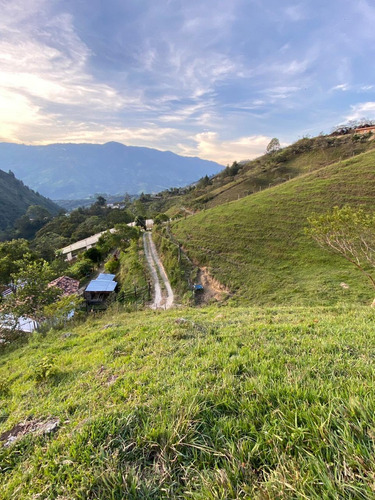 Imagen 4 de 8 de Finca Barbosa