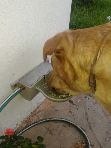 Bebedero Automatico Para Perros