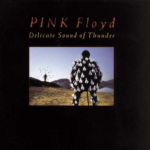 Cd Pink Floyd - Delicate Sound Of Thunder