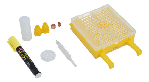 Kit De Cría De Abejas, Plástico Reutilizable Para Cría De Re