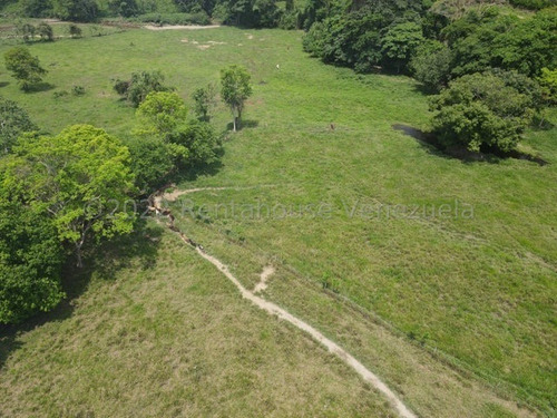Imagen 1 de 30 de Finca En Venta San Felipe 1500 Ha, #23-14481