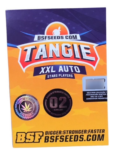 Tangie Auto Xxl X2, Bsf Seeds, Semilla De Colección 
