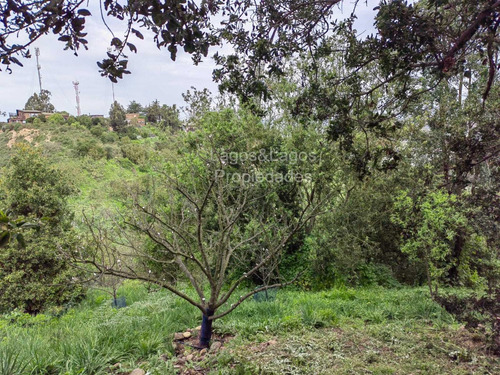 Arriendo Casa Las Gaviotas Concon!