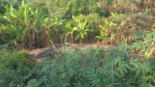 Terreno Em Ilhabela