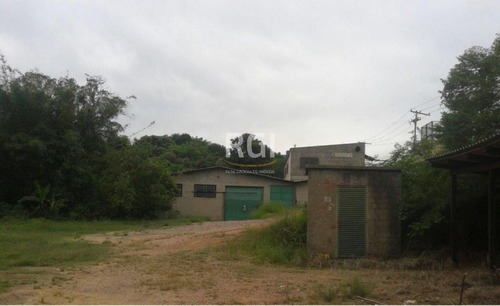 Terreno Em Bela Vista - El50874348