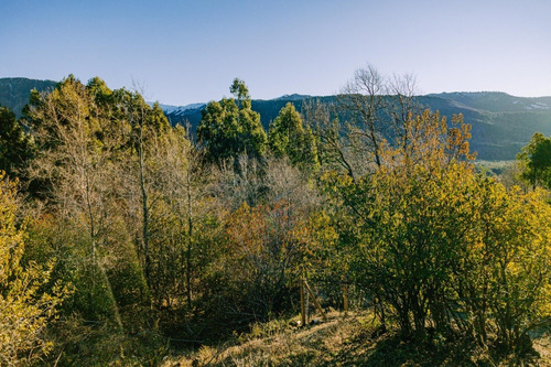 Precio Increible Cercano Pucon Hermosas Parcelas De Montaña
