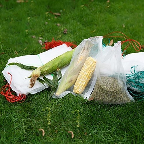 Alegre Almacenar Planta De Jardin Frutas Proteger Cordon Bol