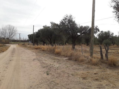Imagen 14 de 16 de Campo En San Pedro Traslasierras. 4 Has Casa Y Galpon