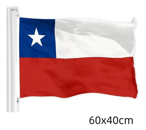 Bandera De Chile, Colores Vivos Y Resistente A La Decoloraci