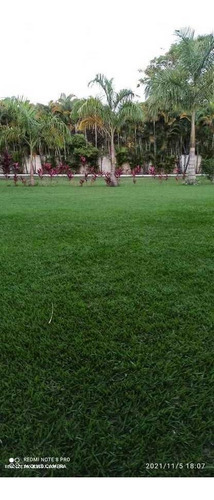 Imagem 4 de 15 de Sítio Para Venda Em Rio De Janeiro, Campo Grande - Rsv50_2-1425952