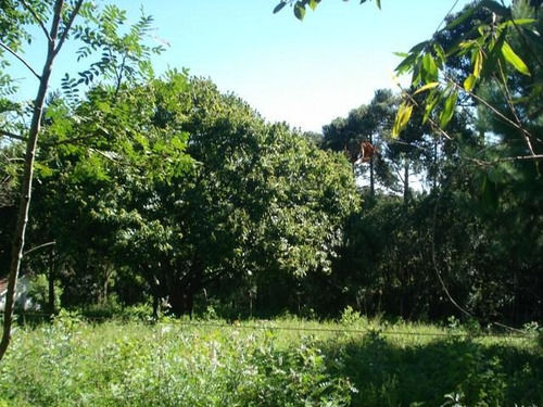 Chácara Todos À Venda, Campina De Quitandinha, Quitandinha - Ch0005. - Ch0006