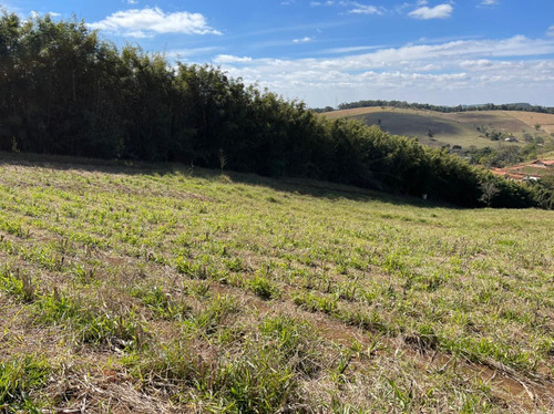 Imagem 8 de 14 de 16- Excelentes Terrenos De 1000m A Venda Em Igaratá