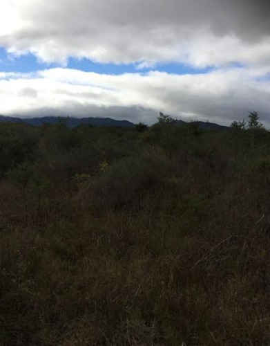 Imagen 2 de 5 de Campo - Dean Funes