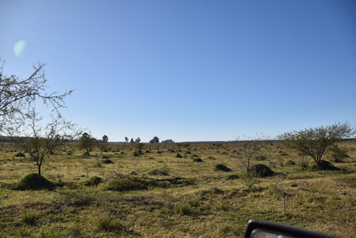 Imagen 4 de 22 de Campo Mixto En Venta Estación Yeruá
