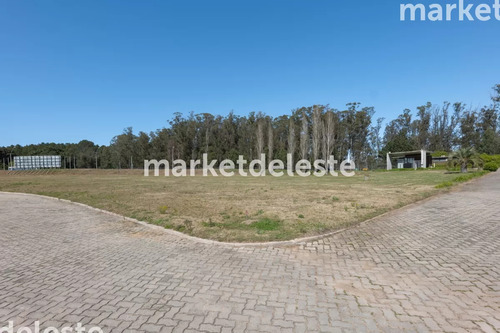 Terreno Apto Para Local Comercial Y Edificio 