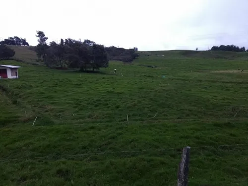 Lote En Venta En Yarumal