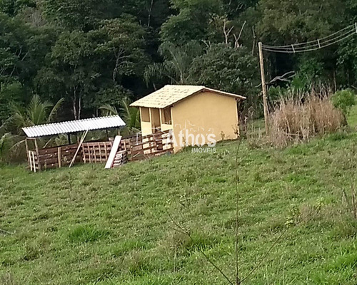 Imagem 8 de 12 de Vendo Sitio Em Elias Fausto - St00031 - 69569371