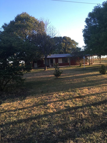 Imagen 6 de 17 de Campo De 10 Hectareas A 1500 Mts De Ruta 39 Con Chalet 4 Amb U$s180.000