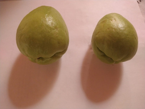 Imagen 7 de 7 de 1kg De Chayotes Sin Espina 100% Organicos