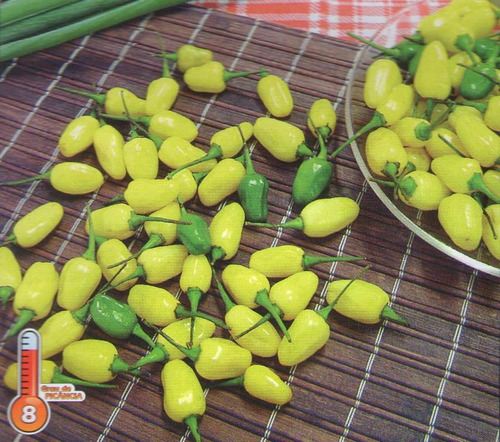 Sementes De Pimenta Cumari Do Pará Verdadeira - Muito Ardida