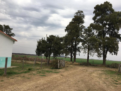Imagen 4 de 12 de Campo - Pilar