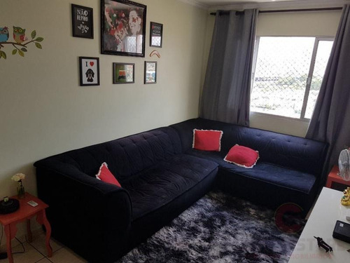 Imagem 3 de 15 de Apartamento Para Venda Em São Paulo, Belenzinho, 2 Dormitórios, 1 Banheiro - Aple0147_2-908705