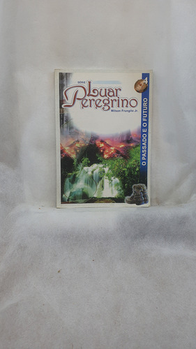 Livro Série Luar Peregrino 4 - O Passado E O Futuro - Wilson Frungilo Jr. - Editora Ide (Usado)