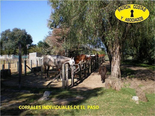 Imagen 5 de 14 de Rivadavia 800 - Open Door - Luján
