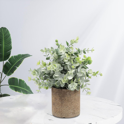 Planta Suculenta Falsa Artificial En Maceta Mini Eucalipto
