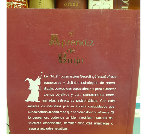 El Aprendiz De Brujo. P N L Alexa Mohl. Editorial Sirio. (Usado)
