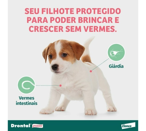 Drontal Puppy 20ml Vermifugo Filhotes Cães
