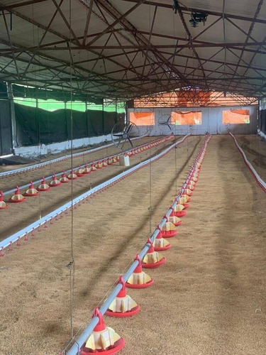 Imagen 5 de 15 de Rp Vende Finca Granja Avícola, Miranda, Estado Carabobo Rp 185.862