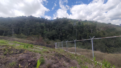 Terreno En Venta Sector TejerÃas La Colonia Tovar 25-1102 Mfc