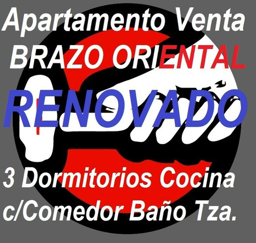 Imagen 1 de 10 de Brazo Oriental Apto. Venta Reciclado 3 Dormitorios Baño Cocina C/desayunador Balcon Lavadero