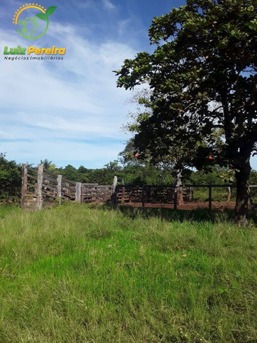 Imagem 15 de 15 de Fazenda Á Venda Em Dois Irmãos - To - 760 Hectares (dupla Aptidão) - 2086