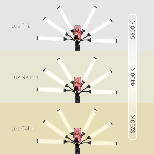 Luz Led Iluminacion De 6 Brazos Flexibles Tripode L600 Estructura Negro Luz Fria / Nuetra / Calida