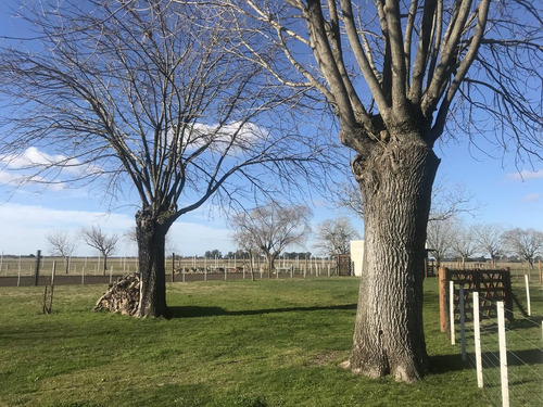 Imagen 28 de 29 de Campo En Venta En Magdalena Ruta 11 Dacal Bienes Raices