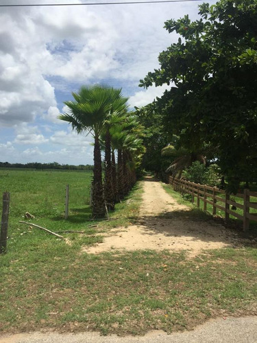 Imagen 12 de 25 de Terreno Sobre Avenida De Cuatro Carriles En Yucatán $320m2 -142m De Frente -71298m2- Tizimín