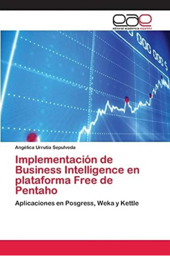 Libro: Implementación De Business Intelligence En Plataforma