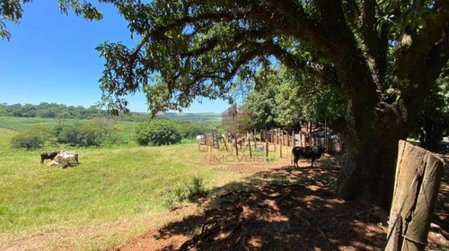 Imagem 5 de 10 de Excelente Área De 16 Alqueires, Com Potencial Valorização Em Região De Grande Desenvolvimento, Próximo Ao Tecnoparque De Maringá. - Si0003