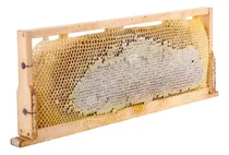 Comprar Panal De Abeja Con Miel 100% Pura Panal Entero De Huanuco