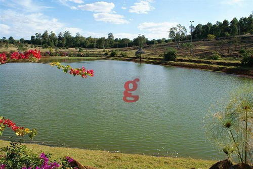 Imagem 11 de 11 de Terreno À Venda, 1300 M² Por R$ 700.000,00 - Condomínio Terras De Canaã - Londrina/pr - Te0121
