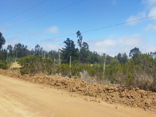 Venta De Parcela En Alcázar De Torres,  Algarrobo 