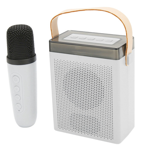 Máquina De Karaoke Multifunción Con Iluminación Rgb Portátil